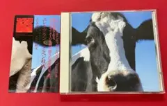 45 帯付 CD エレキブラン メルヘン殺伐