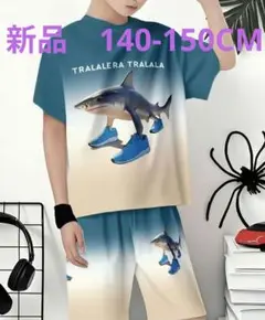 新品　サメデザイン Tシャツとショートパンツセット