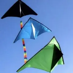 Item thumbnail for item 57e92d19-9305-4233-bea3-7fd22d58f293