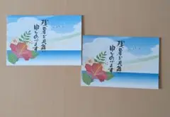 残暑見舞いはがき　夏　ポストカード２枚♡横版　ハイビスカスと海　カモメ