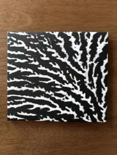 COVER THE WINDOWS AND THE WALLS/GROUPER