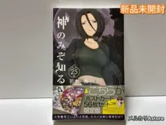 神のみぞ知るセカイ 25 限定版