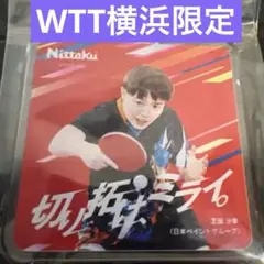 卓球WTT横浜チャンピオンズ会場限定ニッタクキーホルダー芝田沙季バタフライロゼナ