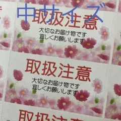中サイズケアシール　取扱注意　コスモスいっぱいA 72枚