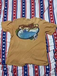 ビンテージ70年代HI CRUclassical glassサーフtシャツポケ