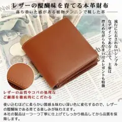 Item thumbnail for item 1c4b5688-64e9-42b6-ae47-7a45b42b029b