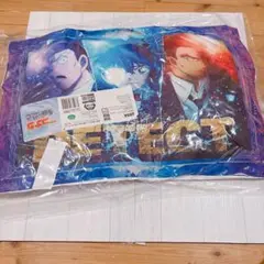 新品未使用 劇場版 名探偵コナン隻眼の残像 プラチナムザッカアートクッション