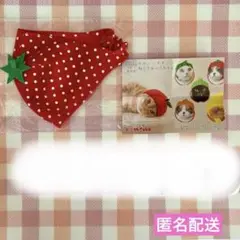 Item thumbnail for item 19605ddd-0b56-423a-95c6-81d86caf2e44