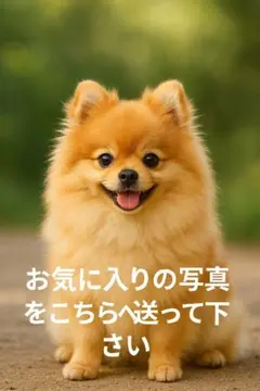 【世界にひとつだけ】写真から優しい色鉛筆風イラスト ペット遺影 A4額装仕上げ