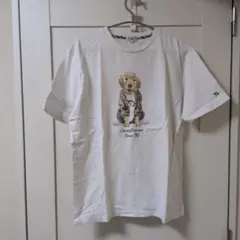 Arnold Palmer 犬イラスト Tシャツ Lサイズ