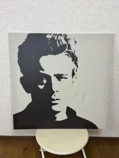 IKEA ジェームス　ディーン 廃盤品 アートパネル 90x90cm 2025年最新】ジェームス ディーン パネルの人気アイテム - メルカリ