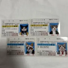 なめ猫 免許証 キャラクターカード 4枚セット