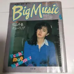 Big Music 1983年6月号　中島みゆき　浜田省吾　坂本龍一