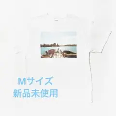 Item thumbnail for item 24c29aba-c1e2-430d-82ef-46c6b2970997