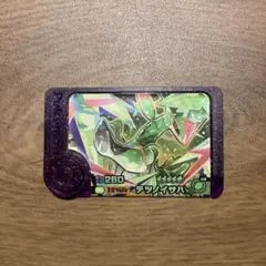 ポケモン　フレンダ　テツノイサハ