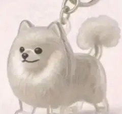 Item thumbnail for item 22e8aa16-0fb7-4c89-90e2-c409ce630311