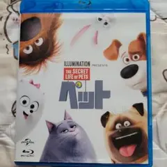 ペット Blu-ray ディスク