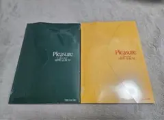 treasure pleasure アルバム2枚セット