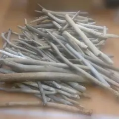 Item thumbnail for item bd1a7b63-4f8e-45b3-bdd4-faddec1c73a8