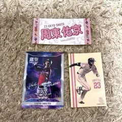 周東佑京 ピンクフルデーシール 鷹祭カードセット