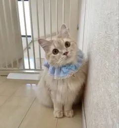 確認用