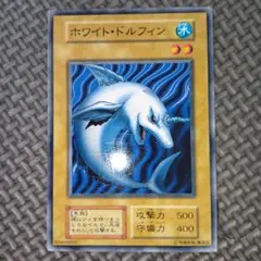 遊戯王　ホワイトドルフィン　b21