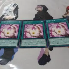 サンヴァインソウイング×3