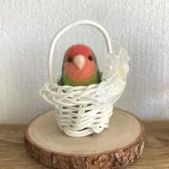 羊毛フェルト 籠に入ったコザクラインコ