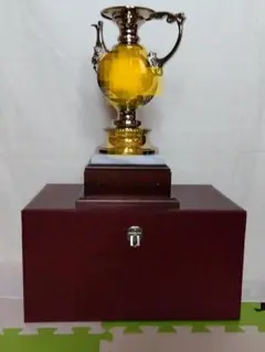 【再最終値下げ】優勝デザインカップ　大