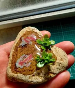 Item thumbnail for item ef62f969-cbb7-42ce-a178-790348d2a6c0