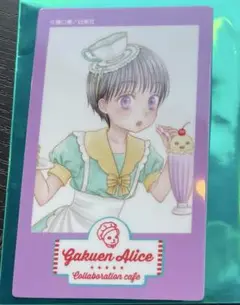 学園アリス　カード　ほたる　お台場