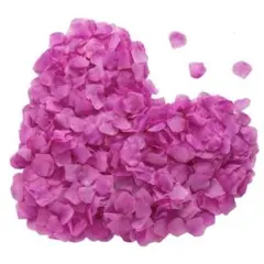 Item thumbnail for item 460821cd-0b89-4906-b1d9-cb0627052b95