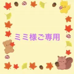 ミミ様ご専用【ステアライズド24個】