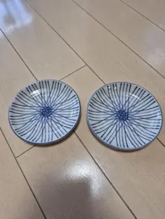 放射状模様の皿 2枚セット