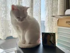 題名「薔薇の人」