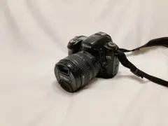 Item thumbnail for item 012cf1c1-1d0e-4da9-9cf4-878ea65bff65