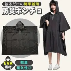 Item thumbnail for item 6fa3a70a-b7f9-44da-87a1-bd3444722a3f