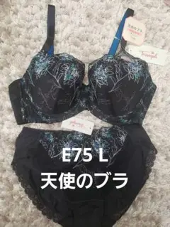 Item thumbnail for item 8847cad6-a4bf-4341-a640-eab5d283fb90