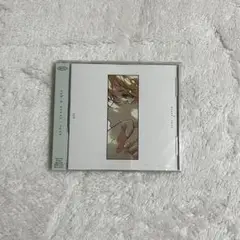 shy ストレイト / パレイド 通常盤