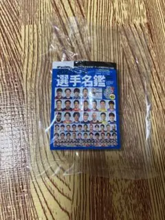 2023 J2 J3 選手名鑑　豆ガシャ本　ガチャガチャ