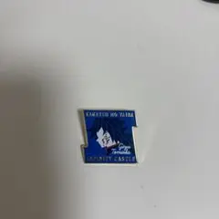 Item thumbnail for item 4374ab35-b700-4bf5-bc35-f894caa7180a