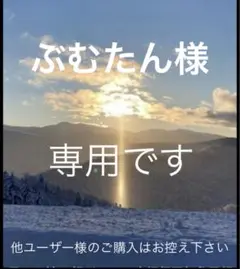 シャネル ココマーク ゴールドGPイヤリング