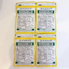 新品未開封　インシップ　DNA&RNA（核酸）サプリメント 4袋