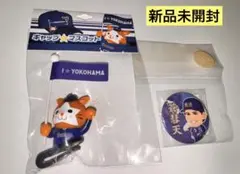 横浜DeNAベイスターズ キャップマスコット スターマン