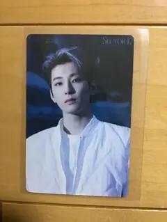 SEVENTEEN ウォヌ トレカ