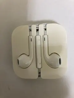 Apple EarPods ホワイト ケース付き