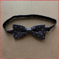 Item thumbnail for item d3f4ff3c-50a9-446f-90f1-6bd47bd5bf68
