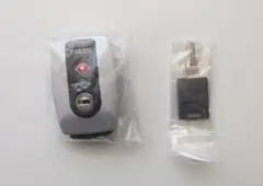 Item thumbnail for item 7fc02ba5-fa4b-4a2d-b71c-dee149ad8b21