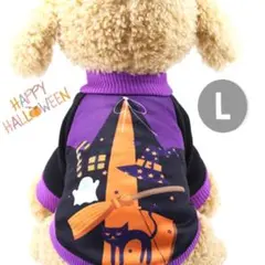 Item thumbnail for item cac46498-3e24-4abd-8d8f-50a952cb783c