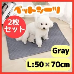 Item thumbnail for item d224df69-18f2-42db-a02a-30f0bb21fa4a